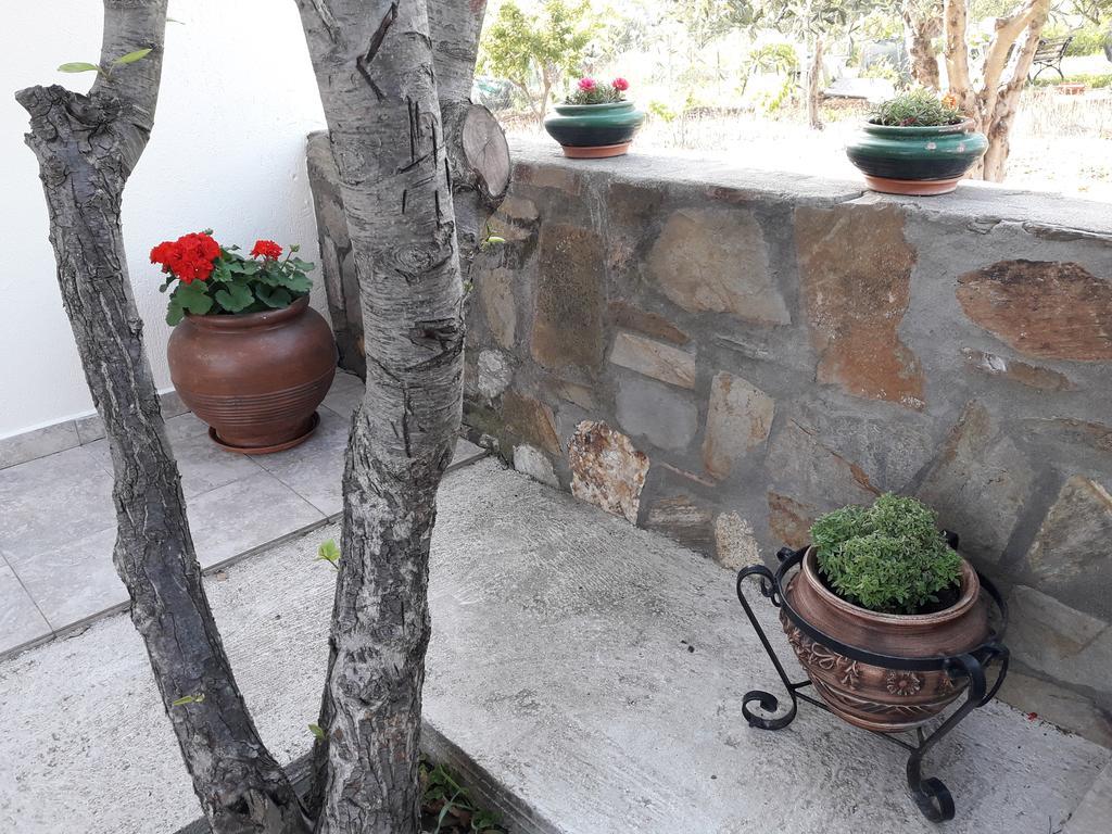 Nikiforos House Apartment Ayios Nikolaos Bagian luar foto
